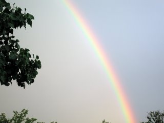 July 22, 2006 - Rainbow